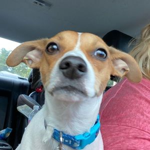 Meet your Posher, Kristen